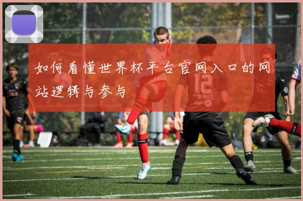 如何看懂世界杯平台官网入口的网站逻辑与参与